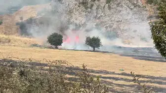 Tokat'ta çıkan yangın, süratle kontrol altına alındı