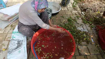 Adana'da geleneksel yöntemlerle kızılcık şerbeti üretimi başlıyor