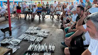 Erdek’te sabah mezatı: Balıkçı tekneleri denizden taze ürünlerle döndü