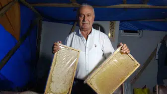 Çamoluk bal festivalinde 1 milyon 400 bin liralık ağalık yarışıyla dikkat çekti