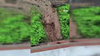 Rize'de etkili yağışlar sonrası heyelan ve taşkınlar baş gösterdi