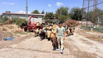 Suriye'den Hatay'a uzanan dostluk: Abdurrahman Elrahim'in çobanlık hikayesi