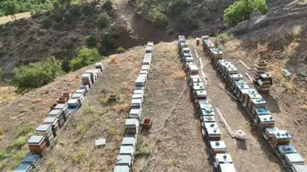 Tunceli'nin bakir doğasında bal hasadı: Arıcılar çalışmalara başladı