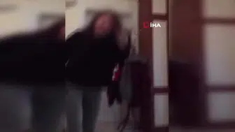 Sosyal medyada yankı uyandıran kaplumbağa cinayetinde şüpheli yakalandı