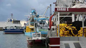 Trabzon'da balıkçılık sezonu açıldı: Vira bismillah dijital limanda