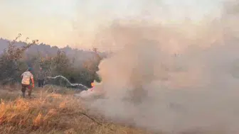Edirne'nin Meriç ilçesinde yangın rüzgarın etkisiyle büyüyor