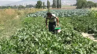 Kabaklar çocukların hayal gücünü besliyor: Murat Aydın'ın yaratıcı oyuncakları
