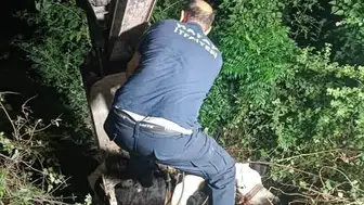 İskenderun'daki inek kurtarma operasyonu büyük bir başarıyla sonuçlandı