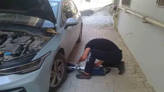 Hatay'da mahsur kalan kediler güvenle kurtarıldı