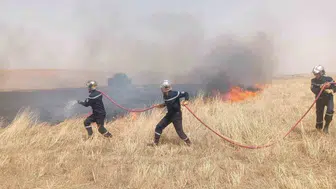Cezayir’de orman yangınları tehdidi: 24 saatte 72 yangın çıktı