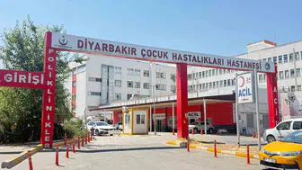Diyarbakır’da kedinin ısırdığı çocuk hastaneye kaldırıldı: Testler kuduz çıktı