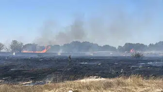 Kapaklı ve Saray arasında çıkan yangın kontrol altına alındı