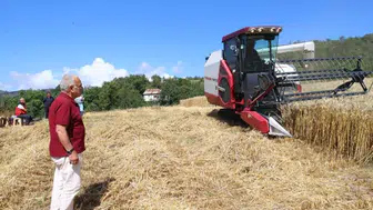 Ordu'da tarım makineleri parkı genişliyor: Paletli biçerdöverle buğday hasadı yapıldı