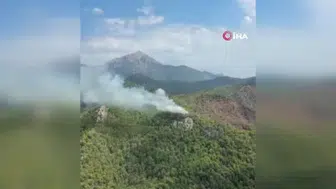 Kemer'de çıkan orman yangını hızlı müdahale ile söndürüldü