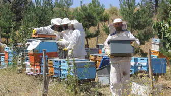 Erzincan'da bal üretimi geleneği sürüyor