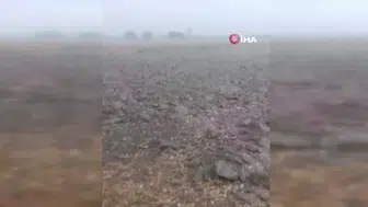 Osmaniye'de dolu yağışı tarım alanlarında hasar yaratabilir
