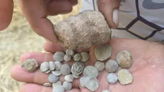 Yozgat'ta hayvancılıkla uğraşan çobanın fosil keşfi: Deniz canlılarına ait kalıntılar bulundu