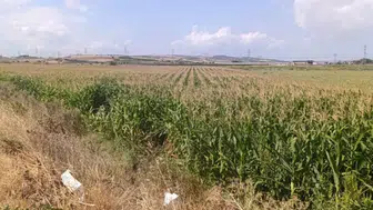 Karacabey-Bandırma yolunda gerçekleşen kaza sonucu 3 kişi yaralandı