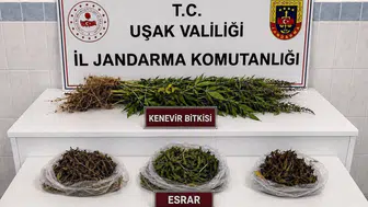 Uşak'ta düzenlenen operasyonlarda kaçak tütün ve uyuşturucu madde ele geçirildi
