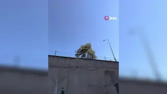 Karton yığınına karşı mahalleli isyan etti: Temizlik ekipleri devrede