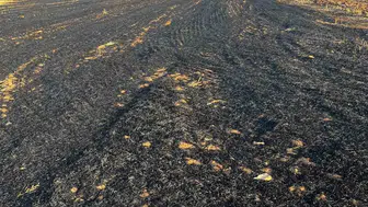 Kuş çarpmasıyla başlayan yangın mahalleli sayesinde kısa sürede kontrol altına alındı