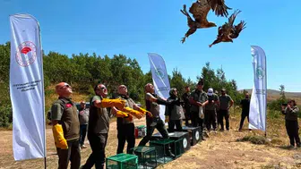 Nemrut kalderası milli parkında 5 yaban hayvanı yeniden doğaya salındı