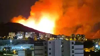 Ankara'da ağaçlık alanda yangın: itfaiye ekipleri seferber oldu