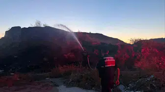 Bilecik'te ot yangını paniği: İtfaiye ekipleri zamanında müdahale etti