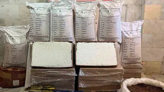 Didim'de sentetik hap imalathanesine büyük baskın: 100 milyonluk ürün ele geçirildi