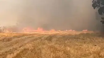 Eskipazar'daki anız yangını itfaiyeyi harekete geçirdi
