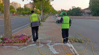 Kayseri'de yeşil alanlarda zararlılara karşı etkili müdahale