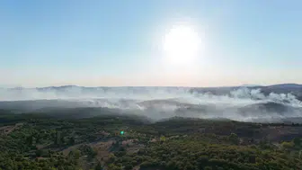 Gebze'deki orman yangınında havadan müdahale yoğunlaşıyor