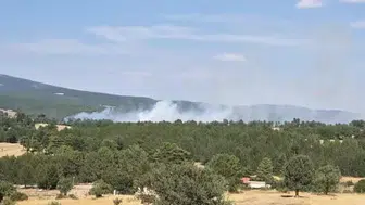 Emet’te çıkan orman yangını ekiplerin müdahalesiyle söndürüldü