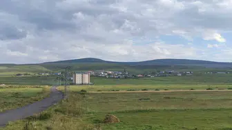 Ardahan'da kuduz vakası nedeniyle mahalleye giriş çıkışlar yasaklandı