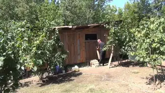 Dükkanını kapatıp köyde tavukçuluğa adım atan Fazlı Arısoy'un başarı hikayesi