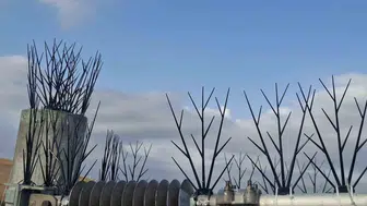 Ulaştırma Bakanı Uraloğlu, leylekler için demiryolu güzergahında yenilikçi çözümler sundu