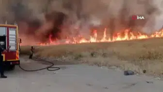 Sincan'da otluk alanda yangın paniği