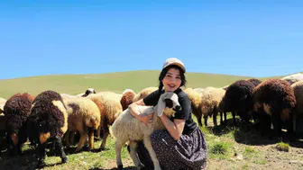 Erzincan tulum peyniri, yaylalardan lezzet durağına uzanıyor