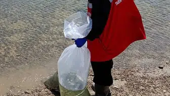 Tekirdağ'da göletlere balık salımı: 150 bin yeni yüzey sakinleri