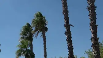Antalya körfezinde mikroplastiklerin temizlenmesine poyraz katkısı