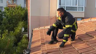 Erzincan'da apartman çatısında mahsur kalan yavru kedi kurtarıldı