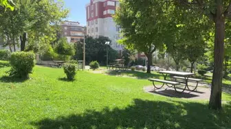 Kahramanmaraş'taki park, kargaların yeni yuvası oldu
