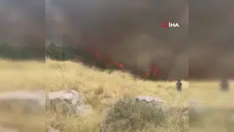 Ankara'daki ot yangını, itfaiye müdahalesiyle söndürüldü