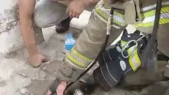 Yavru kediye itfaiye müdahalesi: Yangında hayata döndürüldü