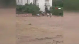 Kaçan ineğini yakalamaya çalışan adam, boynuz darbeleriyle yaralandı