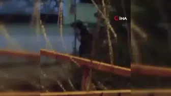 Arnavutköy'de atın yaşadığı dehşet anları cep telefonuna yansıdı