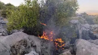 Besni'de meydana gelen korkutucu yangın, ormanlık alanı tehdit etti