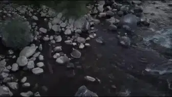 Bingöl'de nesli tehdit altında olan su samurları görüntülendi