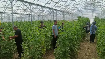 Geleceğin tarım uzmanları Erzincan'da eğitim alıyor