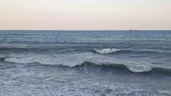 Tekirdağ'da etkili poyraz, ağaçları devirdi